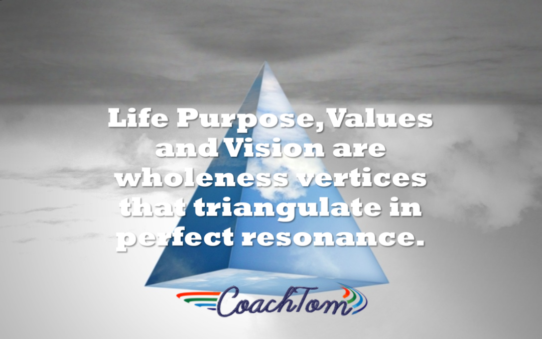 Coaching Reflection #7: Purpose, Values, Vision Triangulation